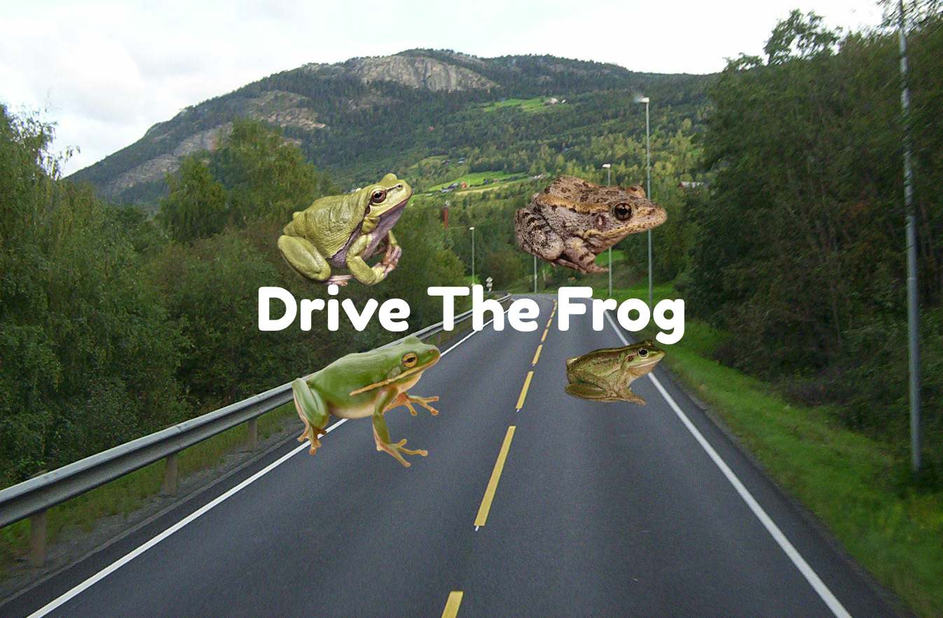 Drive The Frog